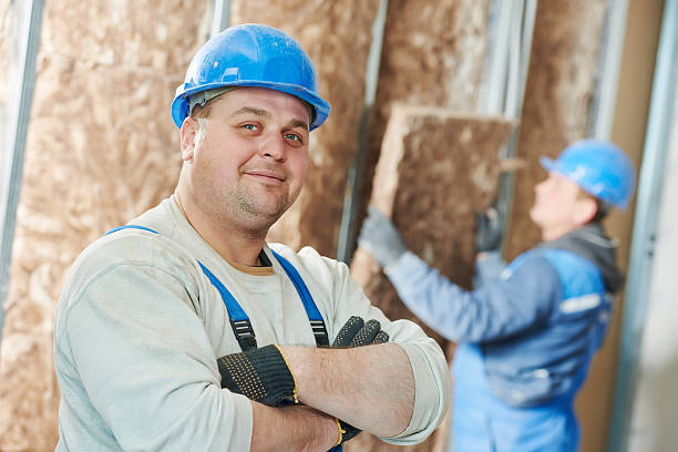 Best Insulation Installation Services in Zanesville, OH